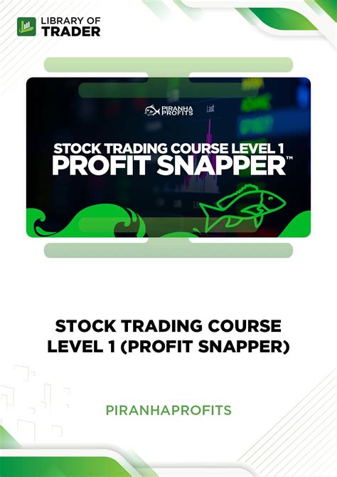 Stock Trading Course Level 1: Profit Snapper™ .